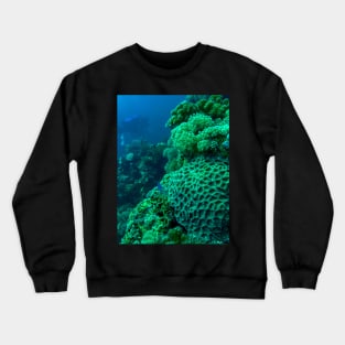 Red Sea Coral Reef Crewneck Sweatshirt